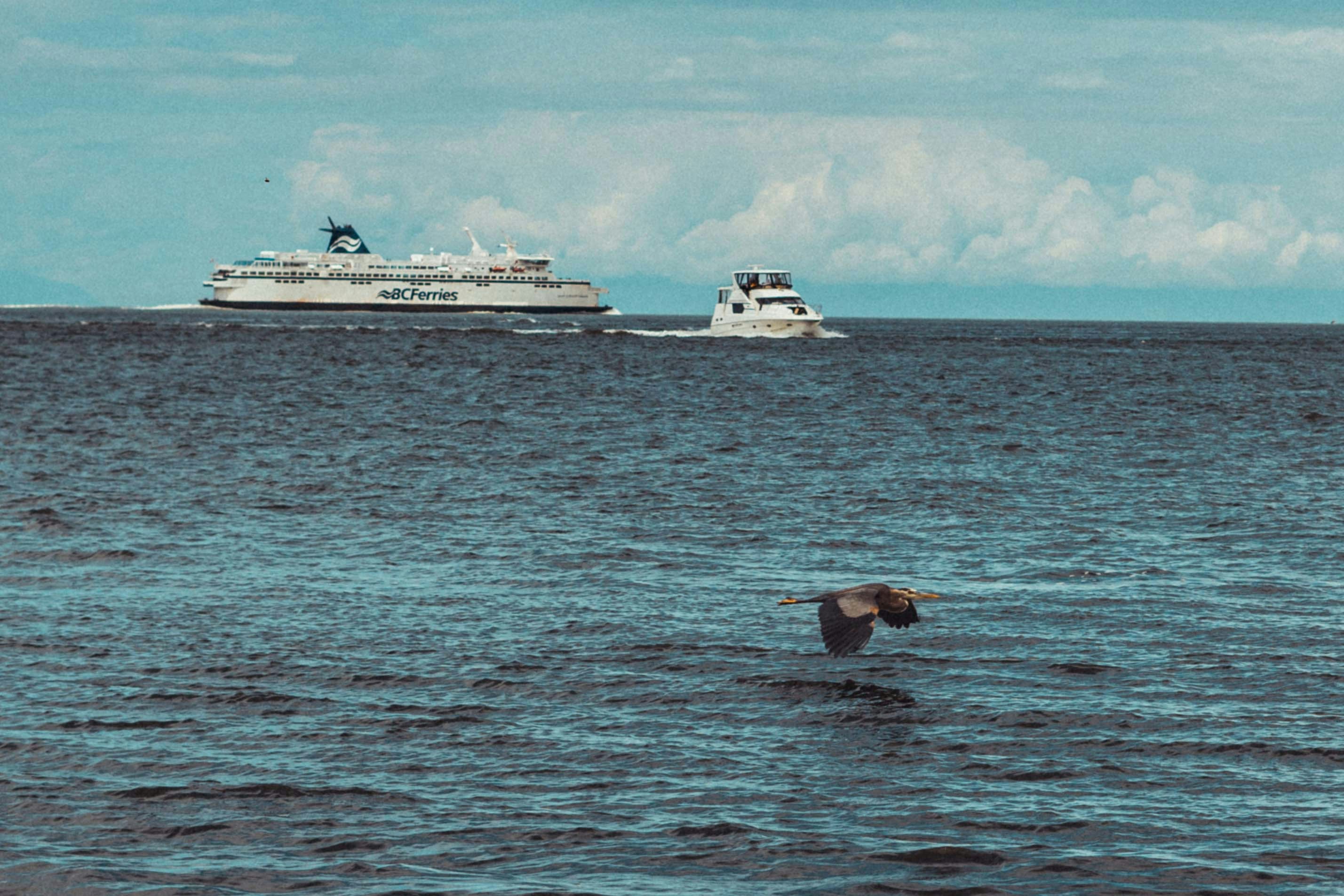Cruise ships in ocean