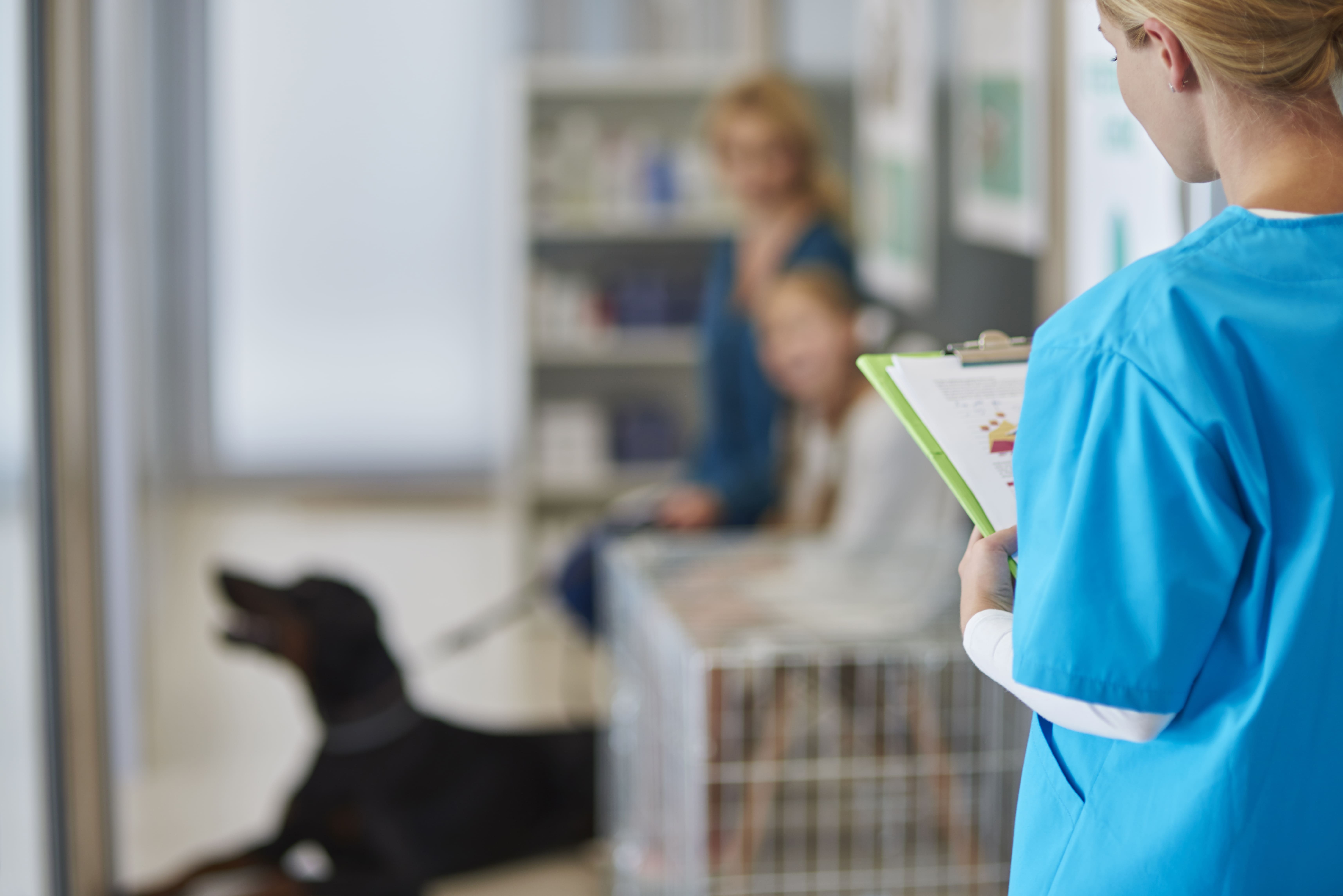 Veterinary Queue Management System: Shorter Waits for Walk-Ins