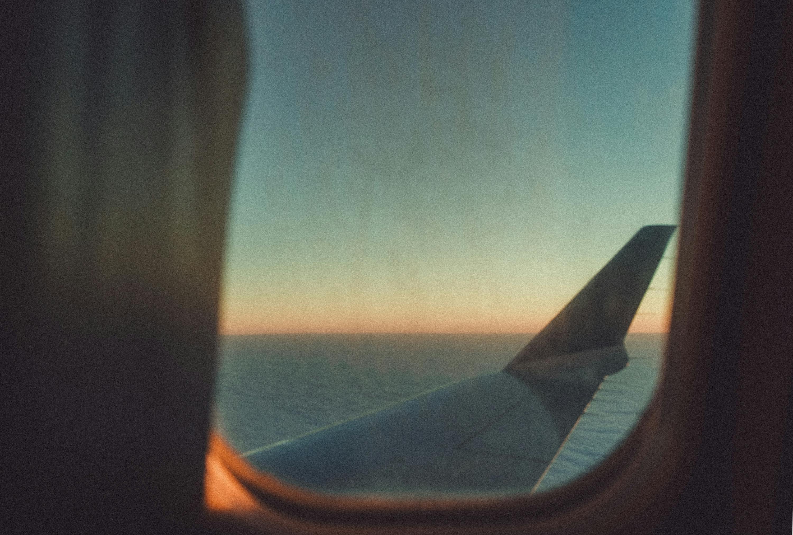 Which Airlines Will Actually Let Your Pet On Board in 2026? The Honest Answer Might Surprise You