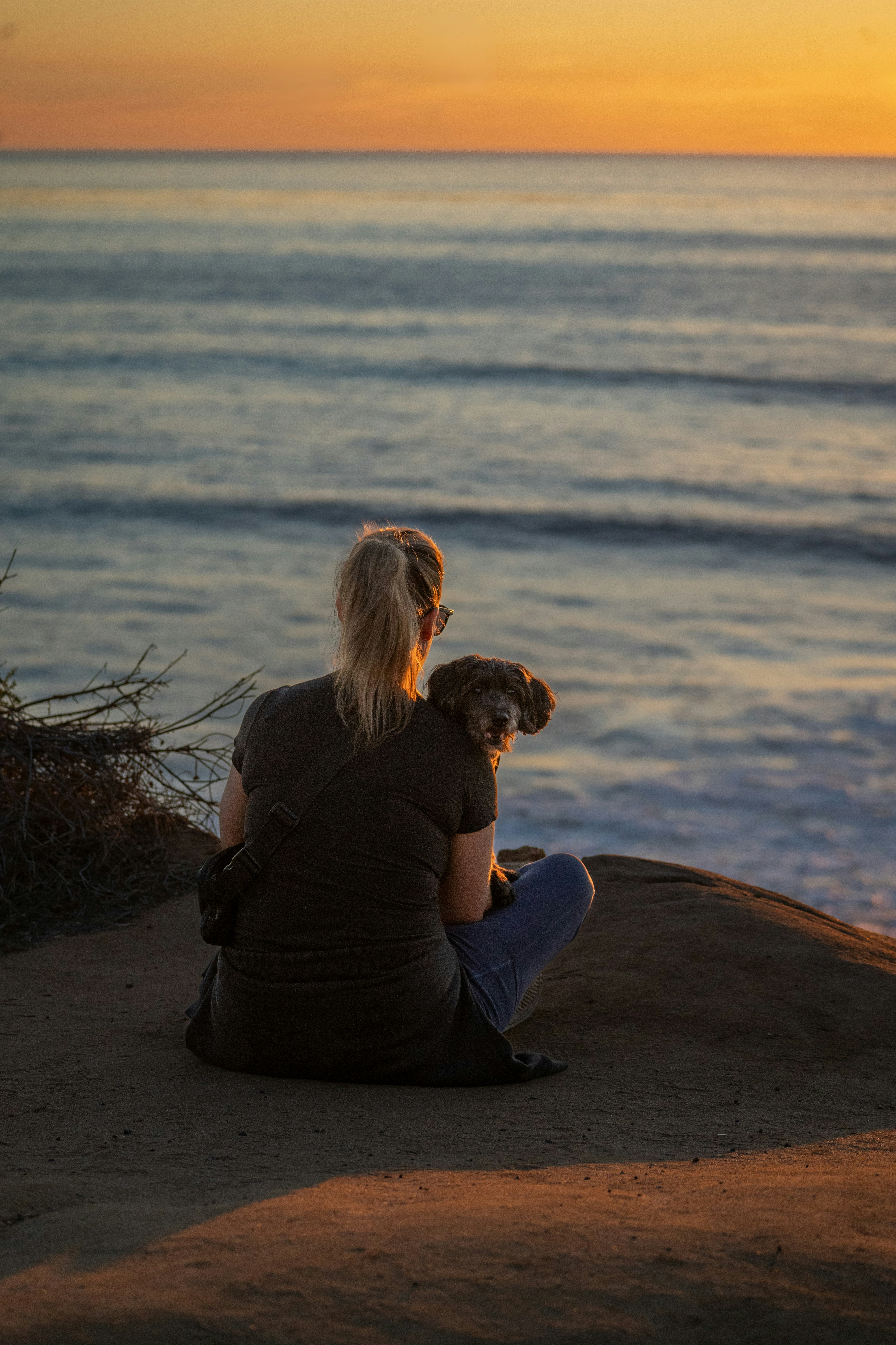 Person with their dog on a beach