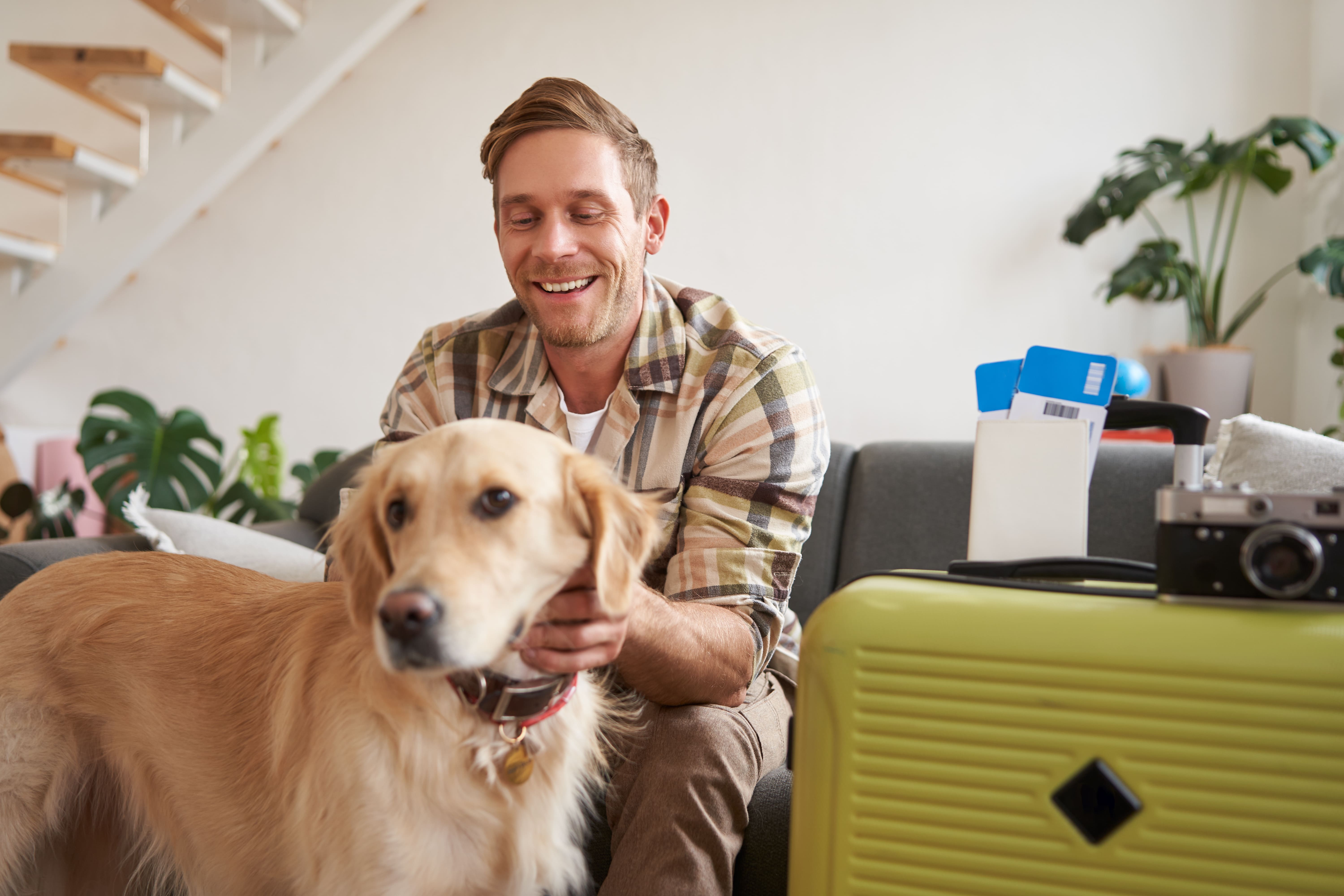 Vets That Offer Pet Travel Certificates: How to Find One